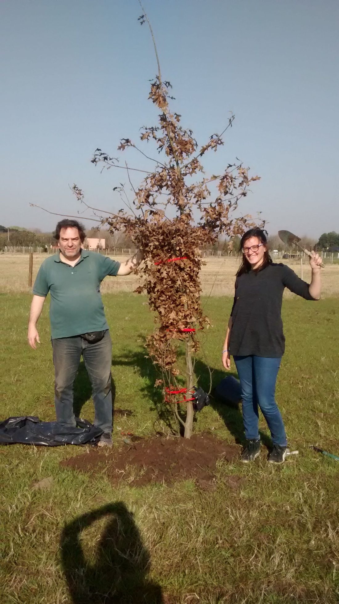 Dos integrantes del equipo plantan un árbol en el campo